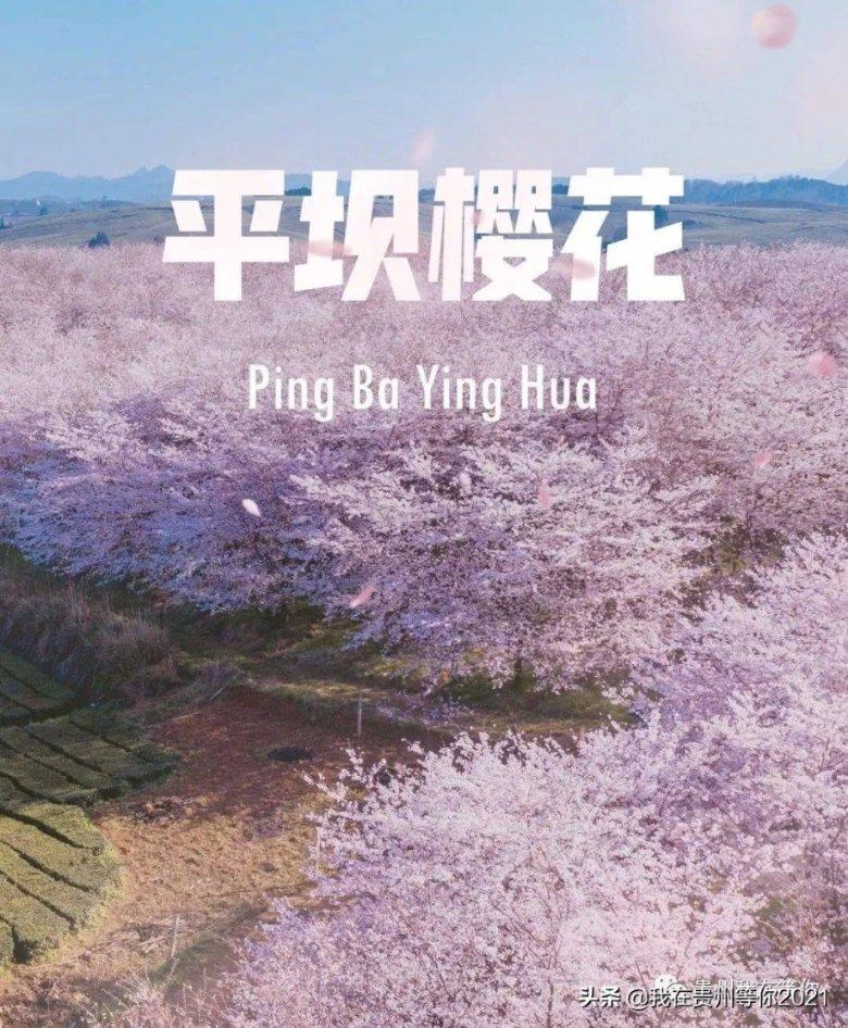 这首《月之故乡》旋律优美好听极了，是很多声乐学生经常演唱曲目游戏画面